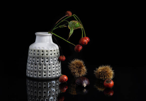 Flora Poster featuring the photograph Red berry fruits on a white modern vase creating a beautiful abs by Michalakis Ppalis
