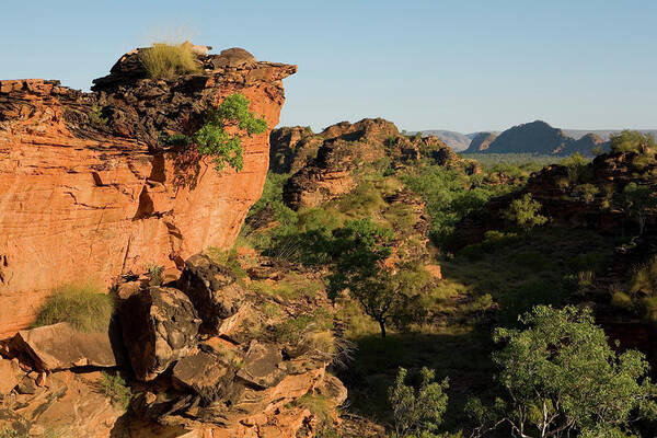 Ip_70497597 Poster featuring the photograph Red Stone Cliffs With Trees And Elephant Rock In The Distance, Hidden Valley National Park, Near Kununurra, Western Australia, Australia by Katharina Jaeger