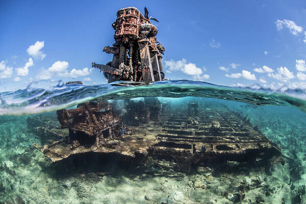 Underwater Poster featuring the digital art Reef Life And Old Wrecks, Alacranes, Campeche, Mexico by Rodrigo Friscione