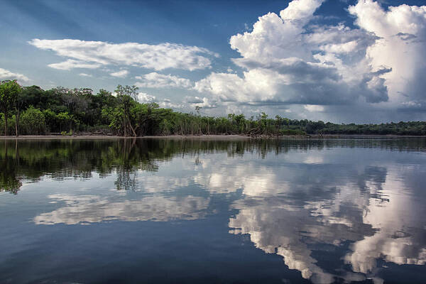 Scenics Poster featuring the photograph Reflections In Amazon River by By Kim Schandorff