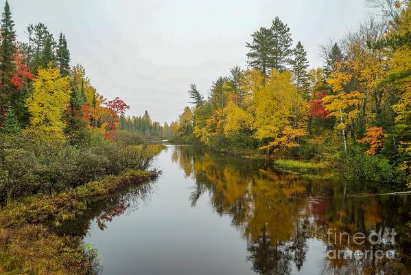 Reflections Poster featuring the photograph Reflections in Autumn by Susan Rydberg