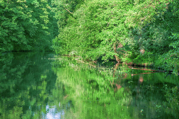 Spreewald Poster featuring the photograph River bend in the Spreewald by Sun Travels