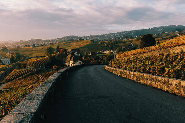 Road Poster featuring the photograph Road Amidst Vineyard Against Cloudy Sky During Sunset by Cavan Images