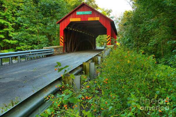 Books Covered Bridge Poster featuring the photograph Road Up To The Books Covered Bridge by Adam Jewell