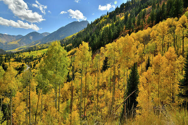 Colorado Poster featuring the photograph Roadside Fall Colors while Ascending to McClure Pass by Ray Mathis