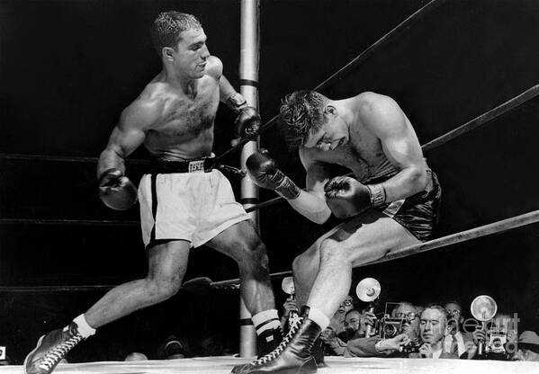 Rocky Poster featuring the photograph Rocky Marciano has Roland Lastarza On The Ropes 1953 by Doc Braham