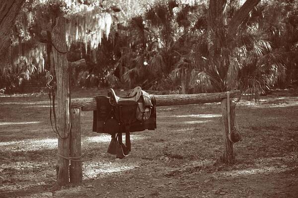 Saddle Poster featuring the photograph Round up Camp by T Lynn Dodsworth