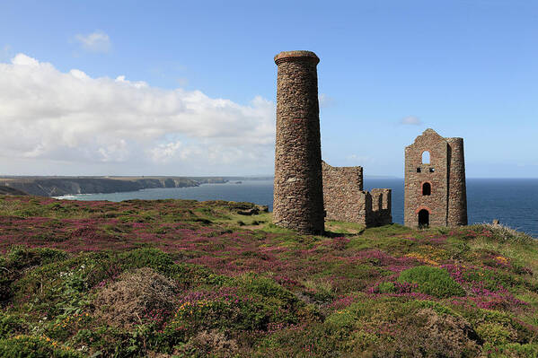 Heather Poster featuring the photograph Ruin Of Wheal Coates Tin Mine, Near St by Anthony Collins