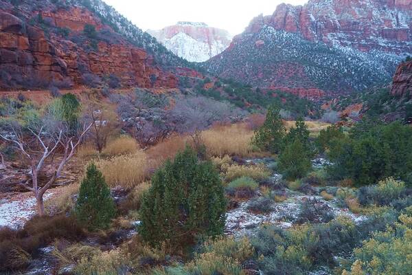 Zion Poster featuring the photograph Rushing Down by Fred Bailey