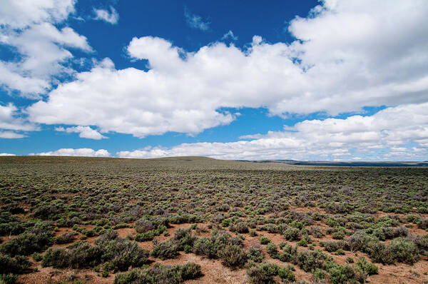Artemisia Poster featuring the photograph Sagebrush Sea In Harney County, Se by William Mullins
