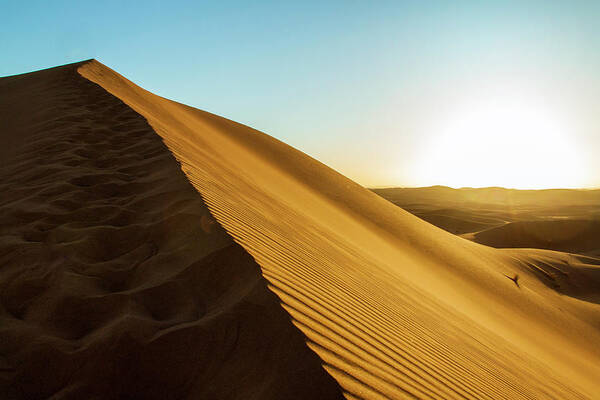 Scenics Poster featuring the photograph Sahara Desert by Mb Photography