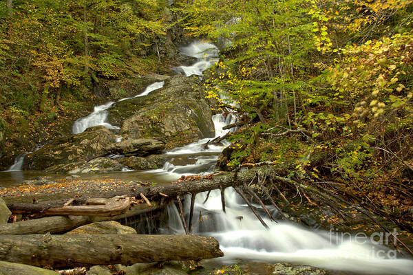 Sanderson Brook Falls Poster featuring the photograph Sanderson Brook Falls Through The Logs by Adam Jewell