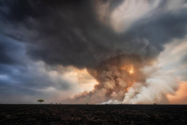 Nature Poster featuring the photograph Savannah Burning by Roberto Marchegiani