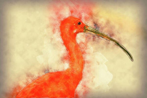 Scarlet Ibis Poster featuring the digital art Scarlet Ibis by Pheasant Run Gallery