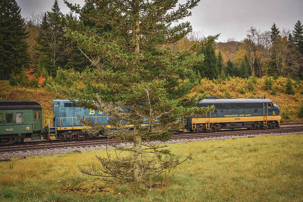 Scenic Poster featuring the photograph Scenic Train by Michelle Wittensoldner