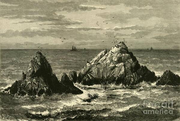 Engraving Poster featuring the drawing Seal Rocks by Print Collector