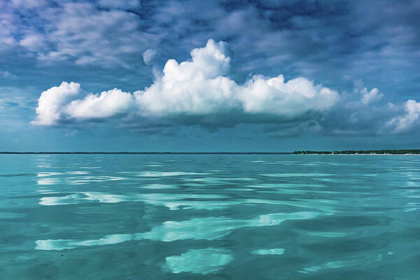 Bahamas Poster featuring the photograph Seaside in the Abaco Islands by Sandra Foyt