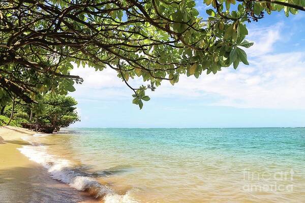 Kauai Poster featuring the photograph Secluded beach by Sylvia Cook