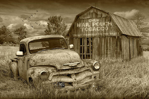 Chevy Poster featuring the photograph Sepia Tone of Rusted Chevy Pickup Truck in a Rural Landscape by a Mail Pouch Tobacco Barn by Randall Nyhof