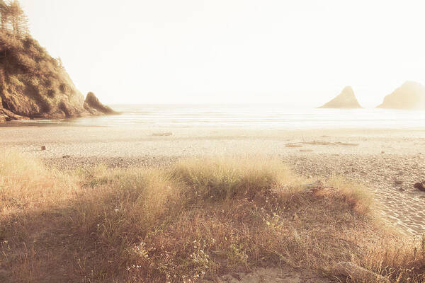 Seashore Poster featuring the photograph Serene Moment by Bonnie Bruno