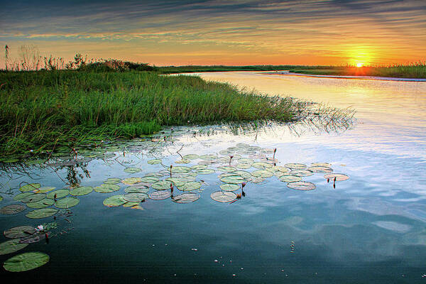Botswana Poster featuring the photograph Sunset on Serpentine Chobe by Douglas Wielfaert