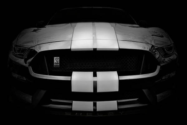 Shelby Gt350 Poster featuring the photograph Shelby Mustang GT350 - American Muscle Car - Ford Mustang by Jason Politte