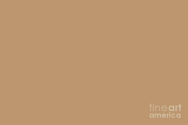 Browns Poster featuring the digital art Sherwin Williams Trending Colors of 2019 Caramelized Light Brown SW 9186 Solid Color by PIPA Fine Art - Simply Solid