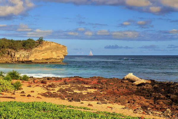 Shipwreck Rock Poster featuring the photograph Shipwreck Rock Poipu by James Eddy