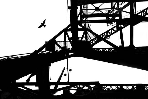 Animal Poster featuring the photograph Silhouette Of Bird Flying From Bridge by Spencer Grant