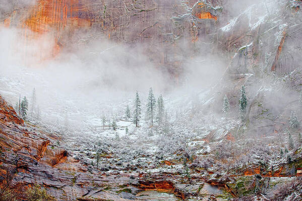 Landscape Poster featuring the photograph Snow In Zion National Park, Utah by Buddyhawkins