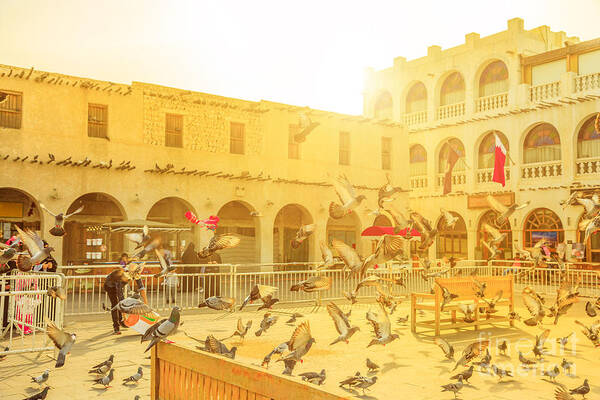 Doha Poster featuring the photograph Souq Waqif Pigeons by Benny Marty