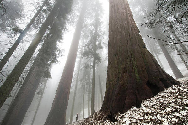 National Park Poster featuring the photograph Spot The Human by Steven Keys