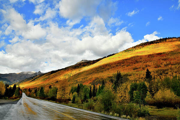 Red Mountain Pass Poster featuring the photograph Spotlight on Fall Colors along Million Dollar Highway by Ray Mathis