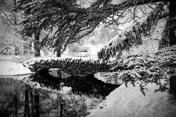 B&w Poster featuring the photograph Spring Grove in the Snow by Ed Taylor