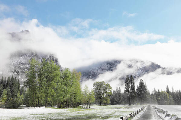 Scenics Poster featuring the photograph Spring In Yosemite Park Valley With by Arturbo