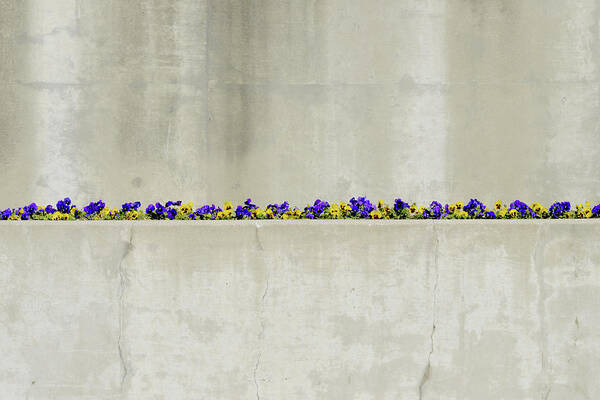Urban Poster featuring the photograph Springtime Minimal by Stuart Allen