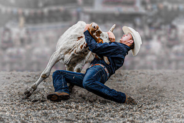 Rodeo Poster featuring the photograph Steer Wrestling by Frank Ma