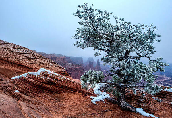 Canyonlands Np Snow Storm Desert Marlboro Point Utah First Snow Red Rocks Landscape Overlook Mountain Cliffs Poster featuring the photograph Stormy Overlook by Verdon