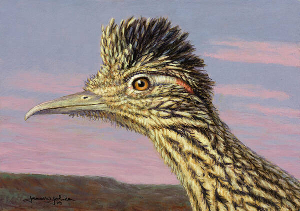 Roadrunner Poster featuring the painting Study of a Roadrunner by James W Johnson