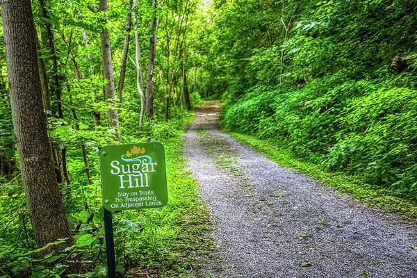 Trail Poster featuring the photograph Sugar Hill Trail by Dale R Carlson