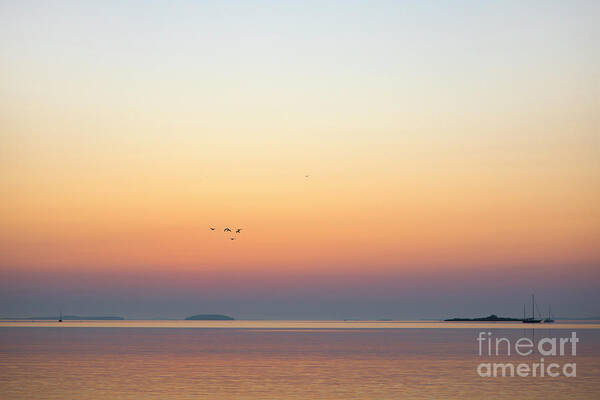 Maine Poster featuring the photograph Sunrise over West Penobscot Bay, Maine by Diane Diederich