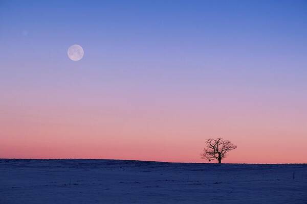 Scenics Poster featuring the photograph Sunset And A Full Moon Over A Snowy by Yasuko Aoki/amanaimagesrf