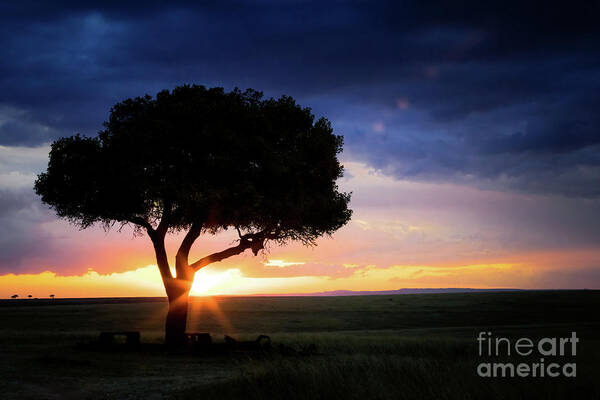 Mara Poster featuring the photograph Sunset in the Masai Mara by Jane Rix