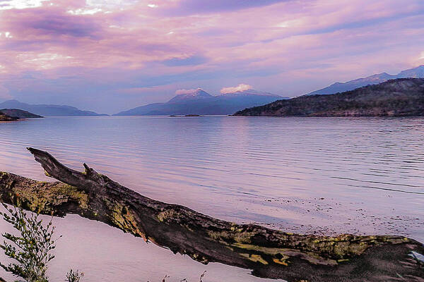 Skyline Poster featuring the photograph Sunset in Ushuaia by Silvia Marcoschamer