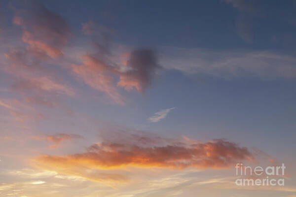 Clouds Poster featuring the photograph Sunset sky and pink clouds 428 by Simon Bratt