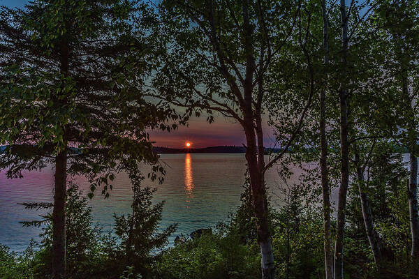 Sunset Poster featuring the photograph Sunset through the trees by Joe Holley