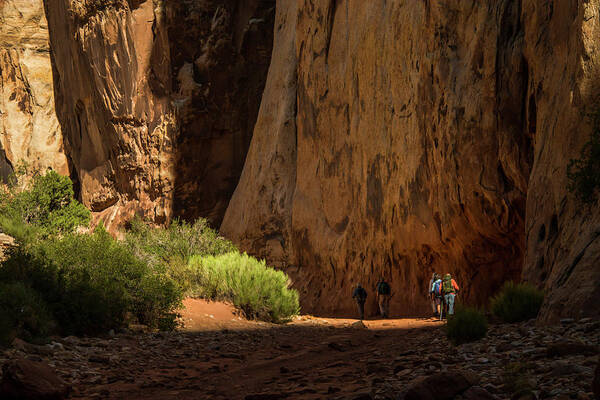 Outdoors Poster featuring the photograph Sunshine, Shadows, and Slot by Doug Scrima