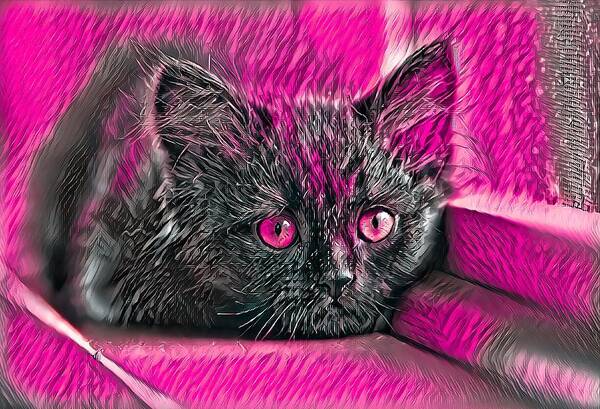 Pink Poster featuring the digital art Super Cool Black Cat Pink Eyes by Don Northup