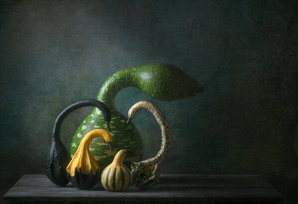 Speckled Poster featuring the photograph Swan Gourds by Catherine W.