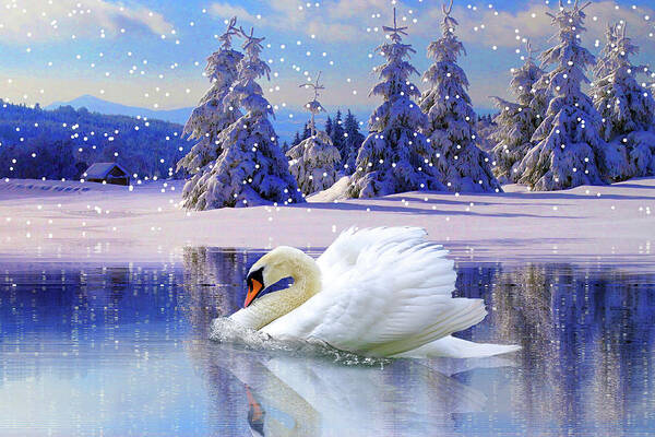Swan Winter Poster featuring the mixed media Swan Winter by Ata Alishahi
